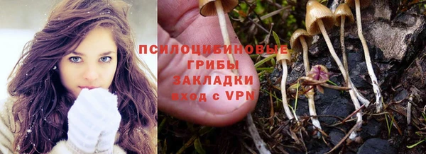 mdpv Алексин