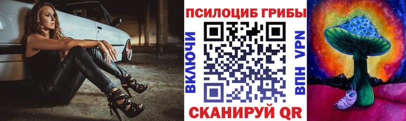 мега зеркало Тольятти Псилоцибиновые грибы ЛСД